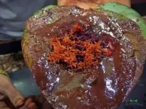 Indian paan counter USA