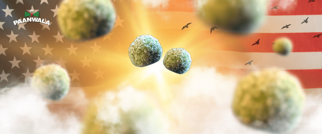 Why​‍​‌‍​‍‌​‍​‌‍​‍‌ Paan Truffle Is the New Must Try Dessert Trend in the US